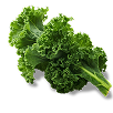 vitamin-rich vegetable in Wolfit Box dog food