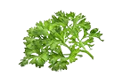 superfood ingredient Parsley added to dog food