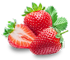 healthy strawberries added to dog food