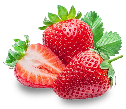 nutritious strawberries ingredients in dog food
