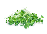Alfalfa — nutrient-dense green in Wolfit Box fish fresh dog food