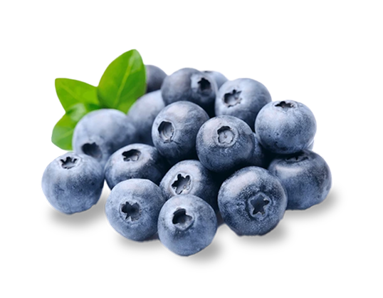 antioxidant Blueberries in Wolfit Box fresh dog food