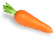 Carrot — beta-carotene-rich vegetable in Wolfit Box fish fresh dog food