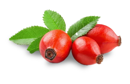 Rosehip extract supports joints in fresh dog food