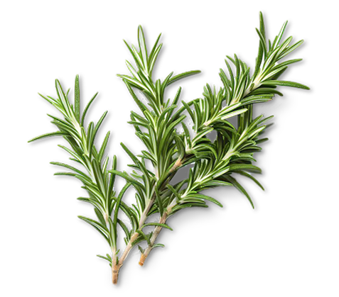 Rosemary — nutrient-dense superfood in Wolfit Box kangaroo fresh dog food