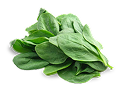 Spinach — iron-rich vegetable in Wolfit Box kangaroo fresh dog food