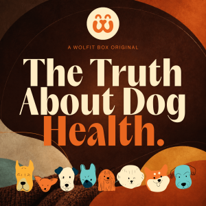 Fresh Dog Food & Dog Health Podcast