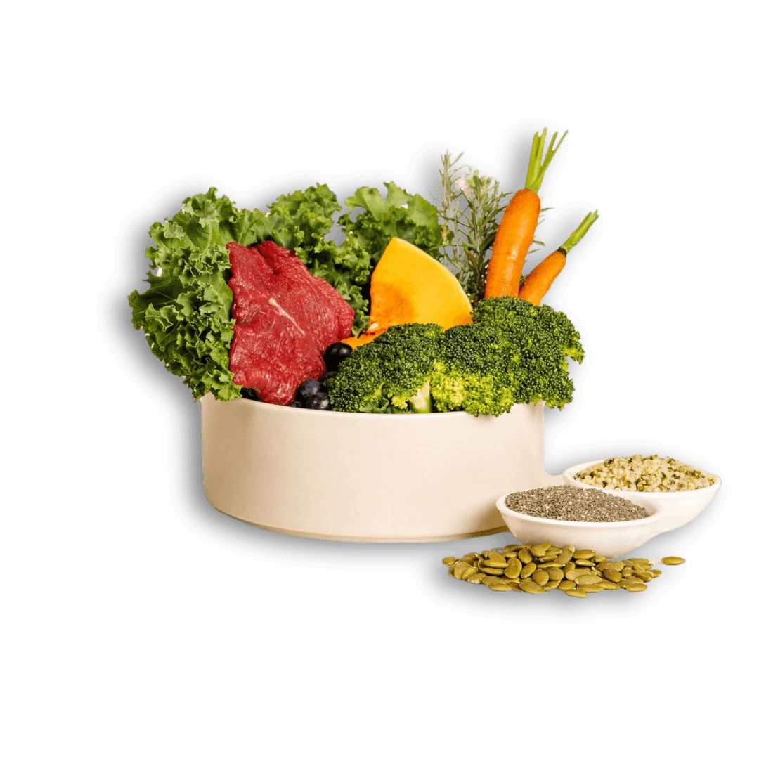 Fresh kangaroo dog food — healthy ingredients in Wolfit Box kangaroo low allergy dog food
