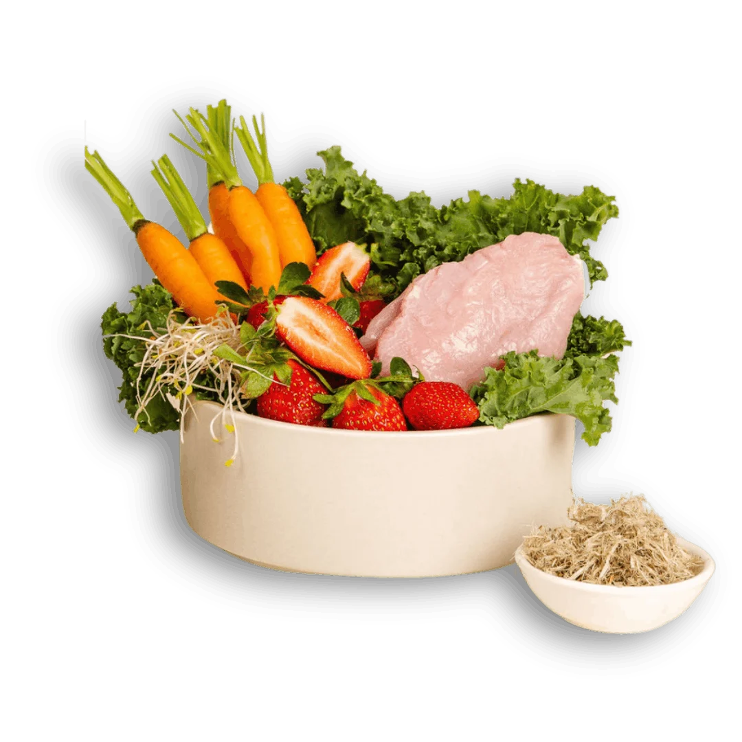 Fresh turkey dog food — healthy ingredients in Wolfit Box turkey low fat dog food